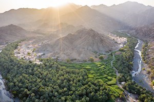 OBBC Spotlight On Oman Botanic Garden
